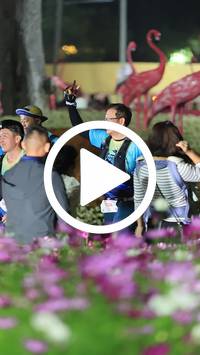 BIB:  <button type="button" onclick="openModal(27590010)" class="btn btn-primary btn-sm float-right" data-toggle="modal" data-target=".modal-high-quality">
                <i class="fa fa-download"></i> Download
                </button>